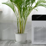 Indoor Air Quality