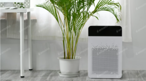 Indoor Air Quality