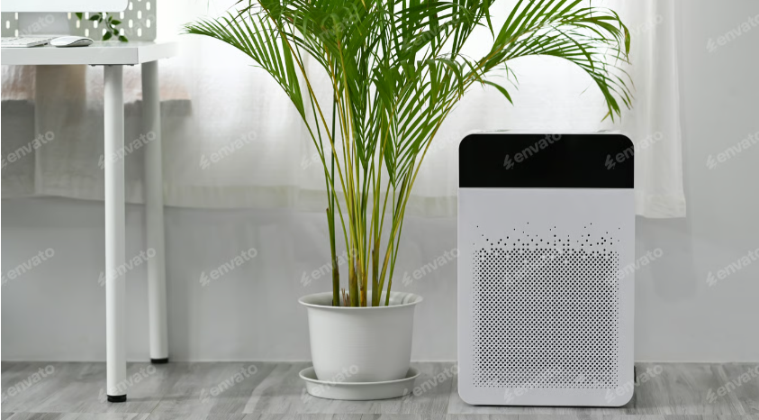 Indoor Air Quality